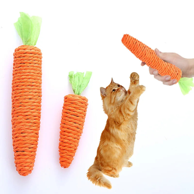 Loong's Favorite: Squeaky Carrot Plush Toy