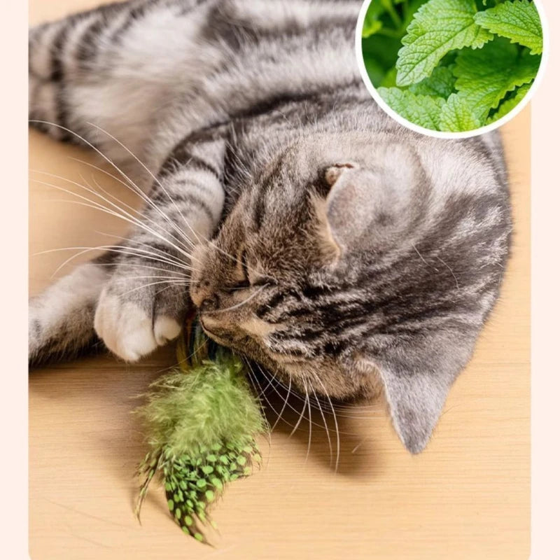 Loong's Hunt: Interactive Chirping Bird Toy