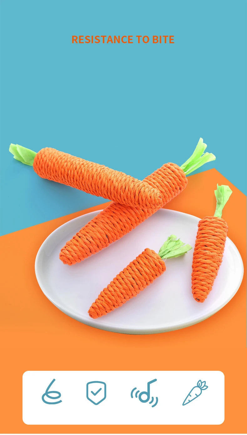 Loong's Favorite: Squeaky Carrot Plush Toy