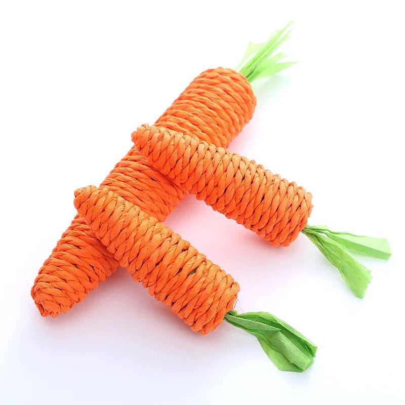 Loong's Favorite: Squeaky Carrot Plush Toy