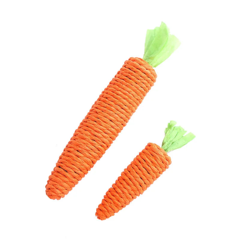 Loong's Favorite: Squeaky Carrot Plush Toy