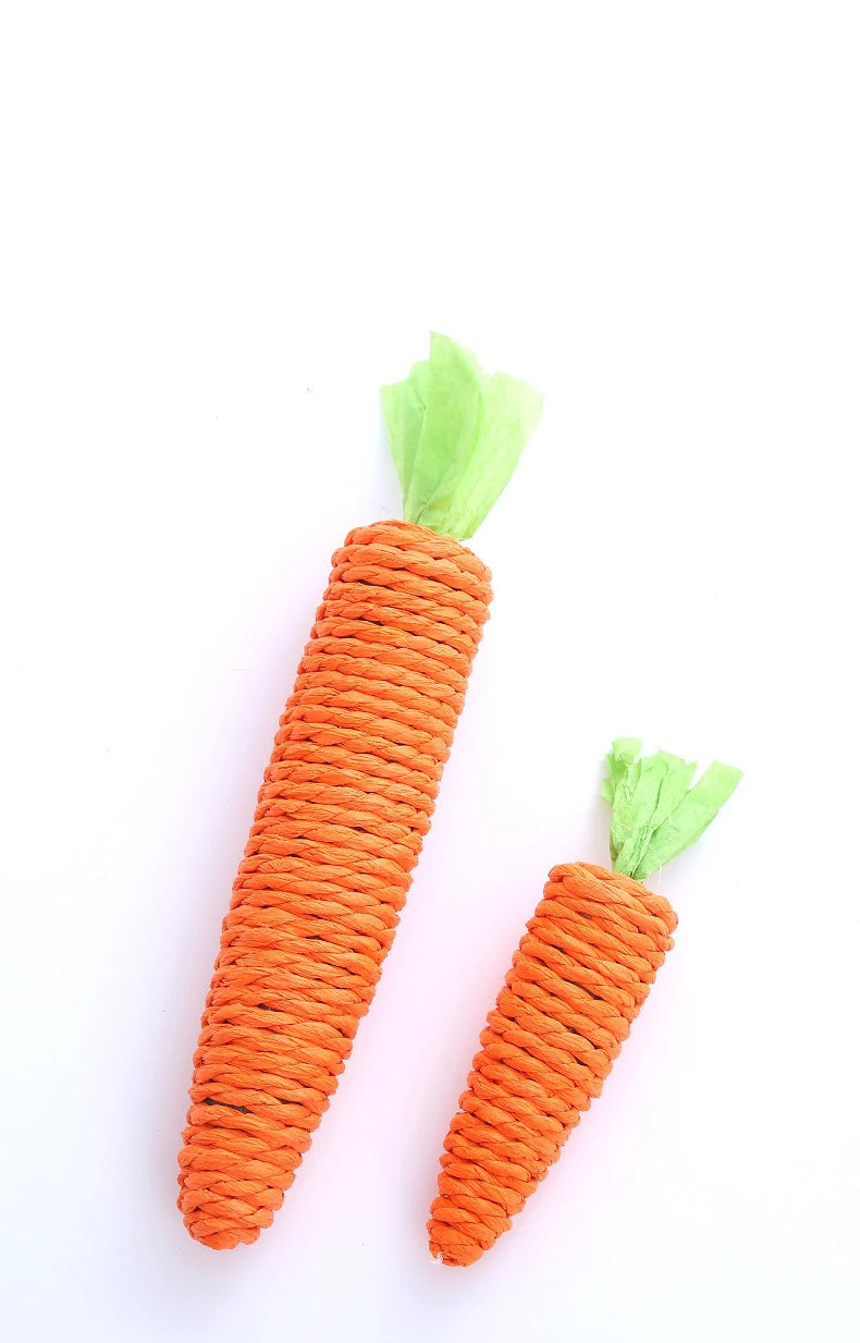 Loong's Favorite: Squeaky Carrot Plush Toy