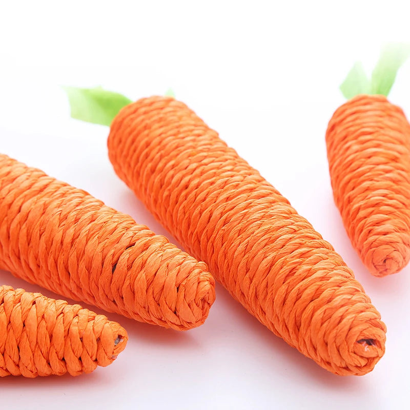 Loong's Favorite: Squeaky Carrot Plush Toy