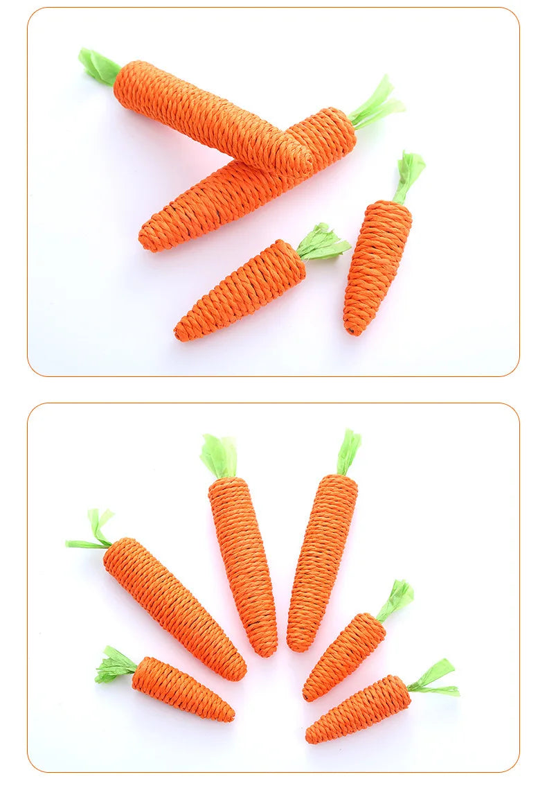 Loong's Favorite: Squeaky Carrot Plush Toy