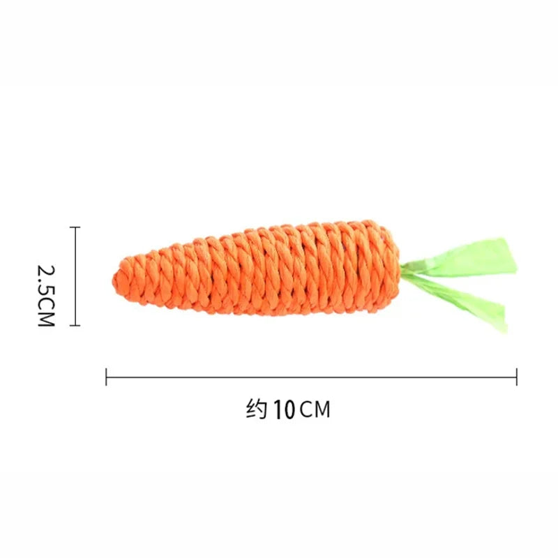 Loong's Favorite: Squeaky Carrot Plush Toy