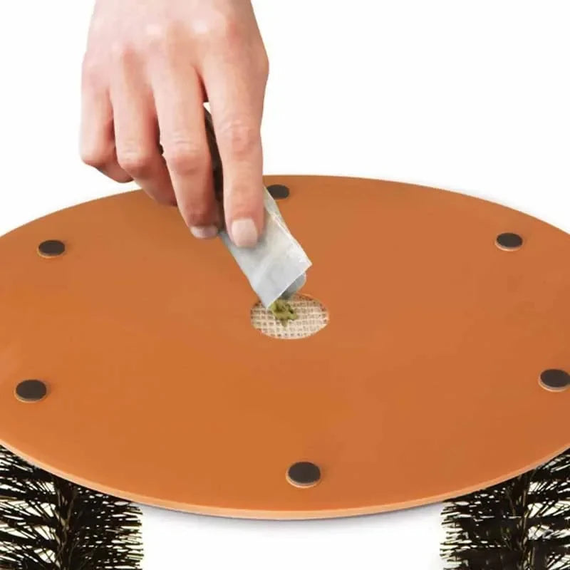 Loong's Choice: Self-Grooming Arch & Cat Massager