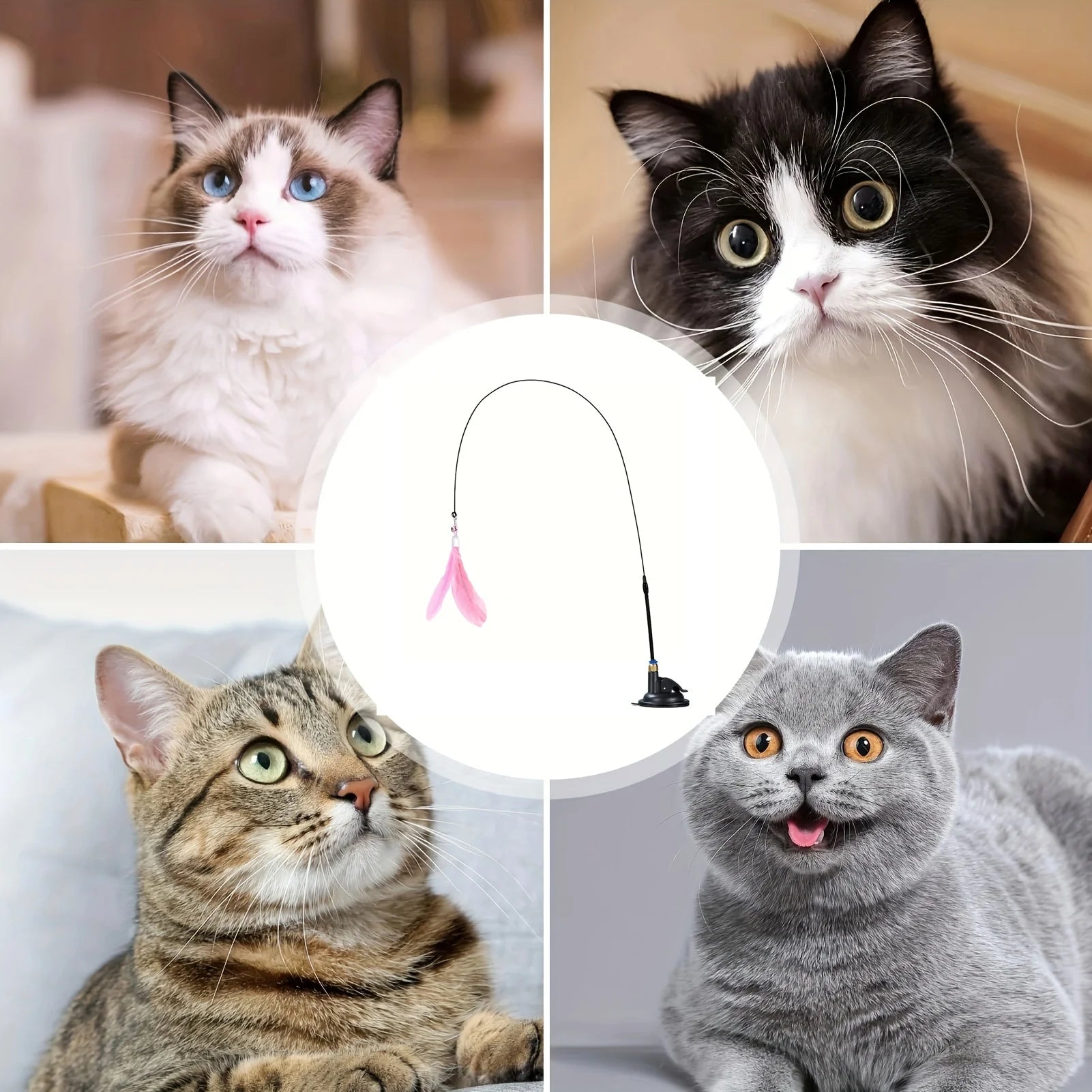 Loong's Choice: Interactive Feather Wand for Playful Cats
