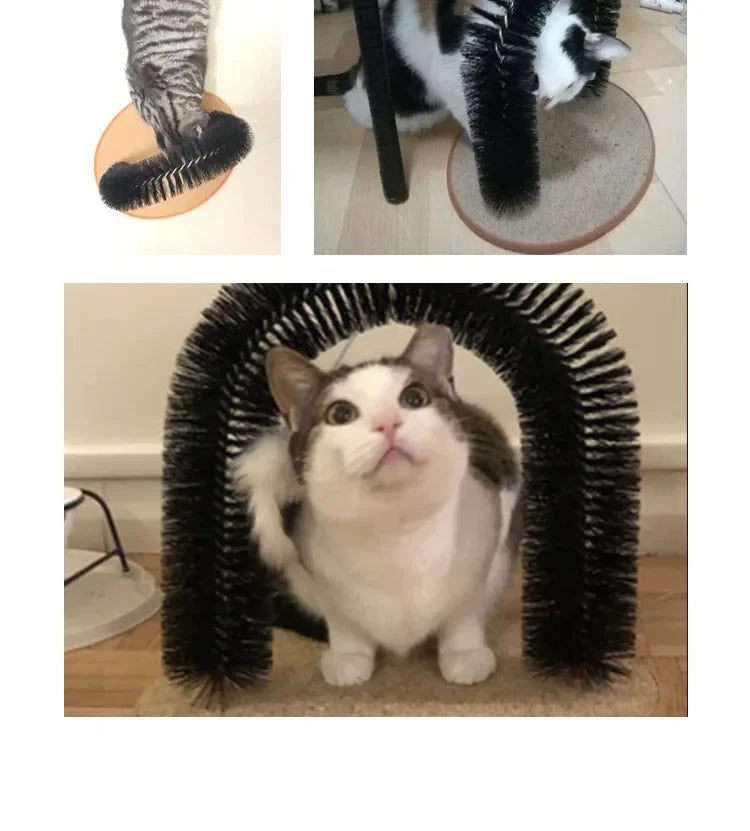 Loong's Choice: Self-Grooming Arch & Cat Massager