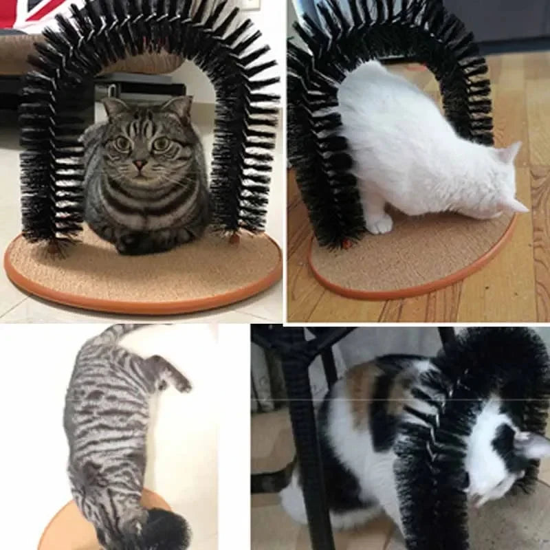 Loong's Choice: Self-Grooming Arch & Cat Massager