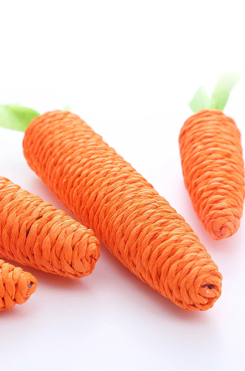 Loong's Favorite: Squeaky Carrot Plush Toy