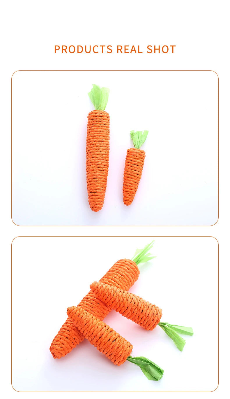 Loong's Favorite: Squeaky Carrot Plush Toy
